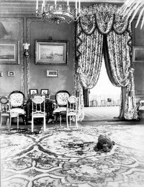 �������� � ���� ����������