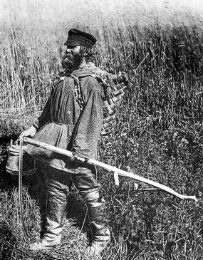 ���������� ������ �� �������