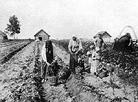 ������ ���������