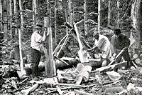 ��������� �� �������