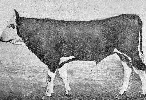 ��� ����������� ������