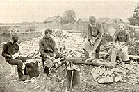 ������������ ���������� ������