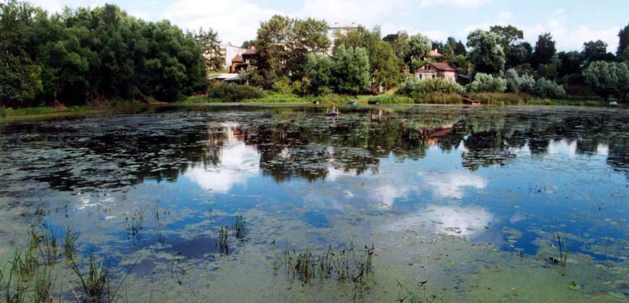 ���� ������� ����