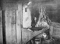 ������ ���� ������������ ����