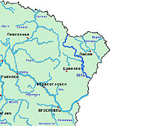 ���� ����