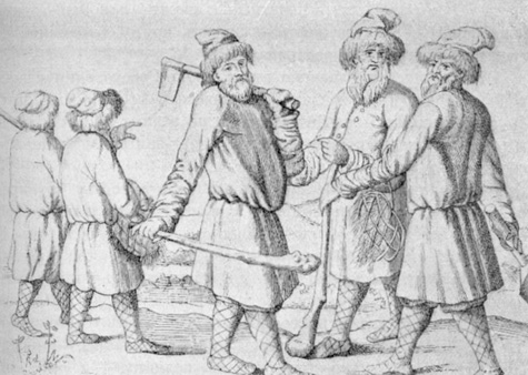 ������ �������� �VII ����